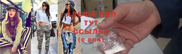 шишки Майский