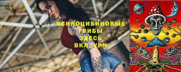 шишки Майский