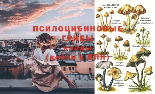 соль ск Магас