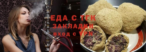 индика Вяземский