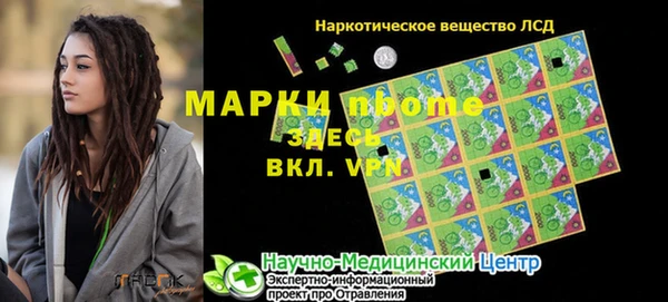 шишки Майский