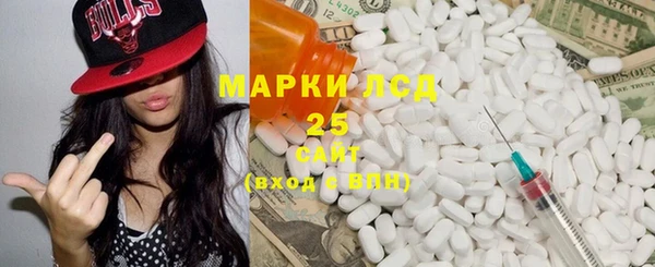 шишки Майский