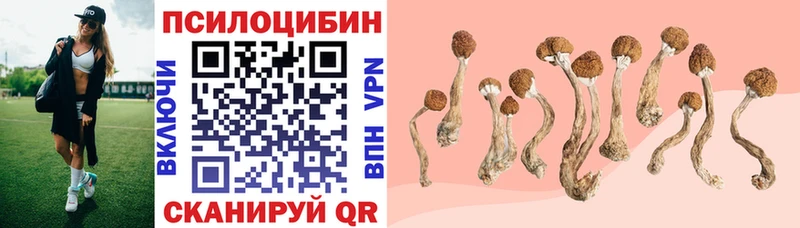hydra зеркало  Игра  Псилоцибиновые грибы прущие грибы 